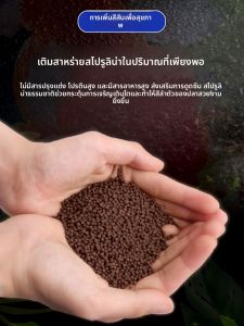 NAICHONG | High-Protein Sinking Small Granule Fish Food
