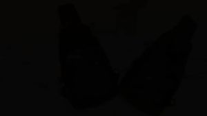 Terbaru Tas Selempang Pria: Trendi, Multifungsi & Nyaman