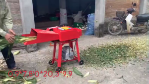 Máy băm cỏ voi cây ngô rơm rạ khô làm nấm máy dùng điện 1pha 220v