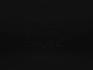 DEUKIO(得趣) | DEUKIO Baitcasting Reel 7.5:1 High Speed 8KG Max Drag 4+1BB 27-Level Magnetic Brake Long Cast Saltwater Freshwater
