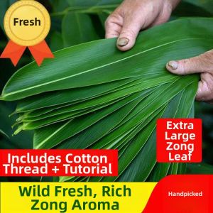 Fresh Large Dried Bamboo Leaves suitable for wrapping zongzi