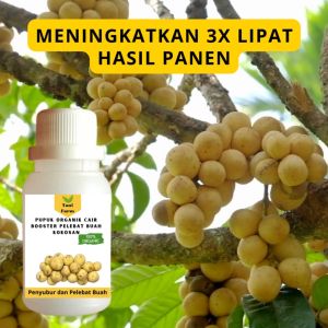 Pupuk Kokosan Cepat Berbuah / Pupuk Pelebat Buah Kokosan / Pupuk Booster Kokosan Cair
