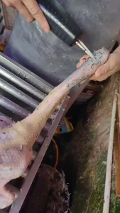 Stainless Steel Portable Handheld Electric Poultry Hair Remover for Quick Feather Removal