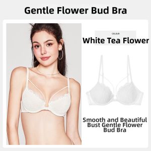 Miss Curiosity | Push-Up Bra Lingerie Set