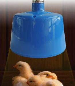 HATELI โคมไฟฉนวนกันความร้อนสำหรับเพาะพันธุ์สัตว์เลี้ยงโคมไฟอัตโนมัติเต็มรูปแบบเครื่องมือทำสวนให้ความอบอุ่นในอากาศกิ้งก่าเต่าเม่นไก่ Lampu Pemanas ควบคุมอุณหภูมิอัจฉริยะ