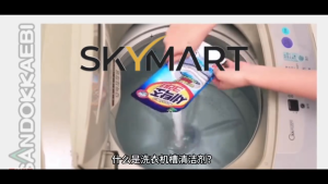 Korea SANDOKKAEBI Washing Machine Cleaner 450g Washing Machine Tub Cleaner