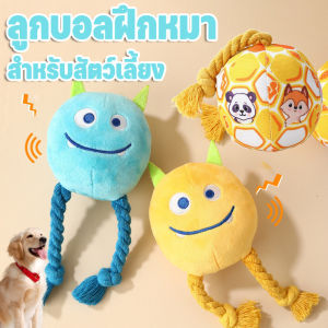 Pattey  บอลหมา ของเล่นสัตว์เลี้ยง ลูกบอลฝึกหมา ของเล่นหมา มีระฆัง สีสันน่ารัก ทำจากวัสดุทนทาน