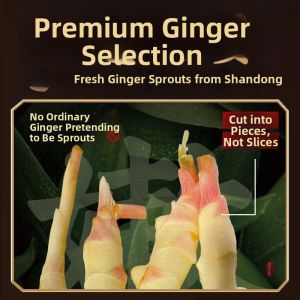 DOUQUCHI | Marinated Ginger Sprouts with Wolfberries Pickles