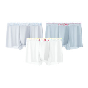 Crab Secret Ice Silk Mens Underwear Breathable Antibacterial Pure Cotton Crotch Comfortable Short Pants Sporty Style mid Waist