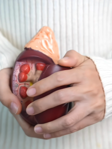 MADUGIN Madu Murni Suplemen Herbal Obat Ginjal pada Anak dan Dewasa Menjaga Fungsi Ginjal Detoks