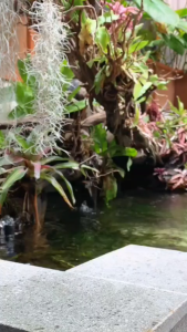 LUME Hair Therapy Shampoo 320ml Scalp Massager Gold Perawatan Rambut Rontok Sisir Pijat Kepala