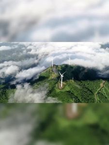 NMN24000 Imported NAD+ Supplement for Anti-Aging and Cellular Health 60 Capsules