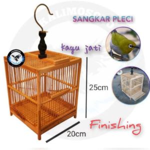 Sangkar pleci kolibri sogon kayu jati finishing semprot plitur