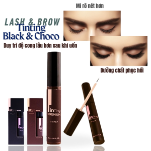 Gel Nhuộm & Dưỡng Mi Tinting Black / Choco từ Thương hiệu Lash & Brow Hàn Quốc | Lọ 10ml