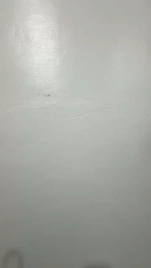 (BUY ONE DOZEN TAKE ONE DOZEN) 24PCS Durable FLEXIBLE Hanger FLEXHANG 14.5" Flexi Plastic Hanger