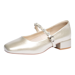 Josiny | Silver Mary Jane Ladies Pumps French Style Coarse Heel Bridal Shoes