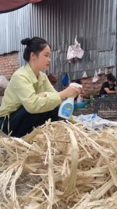 Chai Xịt Diệt Đuổi Ruồi Nhặng Gián AiBio 530ML Giúp Diệt Côn Trùng Gây Hại An Toàn Với Sức Khỏe Người Và Vật Nuôi công nghệ sinh học