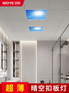 Blue Sky Integrated LED Bathroom Ceiling Light 30x30 Aluminum Sheet Light Modern Minimalist Style for Kitchen Bathroom