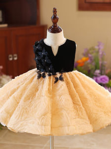 Princess ชุดราตรี Childrens ชุดเดรสออกงานกลางคืน ชุดการแสดงสุดหรู สีดำ การแสดงเปียโน Host Girls เดรส เรียบหรู Special High-end