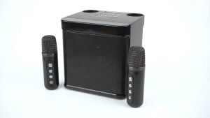 YS 203 Dual Microphone Wireless Karaoke Speaker: Portable & Professional Mini Karaoke