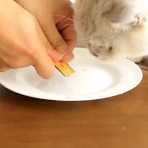 Cat Taro Creamy Lickable Puree Liquid Stick Value Pack (10g x 36) 360G Cat Treats Snack