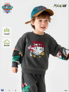 Paw Patrol | Trendy Boy Autumn Hoodie New Design