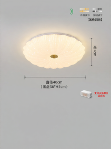 DGY | Luxurious Modern Ceiling Light