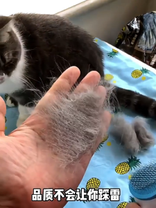 หวีสัตว์เลี้ยง มีปุ่มกดเพื่อดันขนออก ทำความสะอาดง่าย ฟ้าชมพู หวีสุนัข หวีแปรงขนสัตว์เลี้ยง