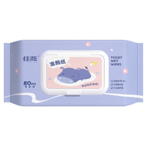 Soft Wet Wipes for Women Pregnant Women Elderly Adults 3 Large Packs Butt Wipes Tear-Off Packaged Hygienic Toilet Paper