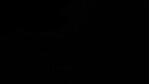 Henti Dengkur Sleep Aid Anti Snoring Nose Clip Apnea Snore Stop Night Breath Right Better Nasal Relief Earplug