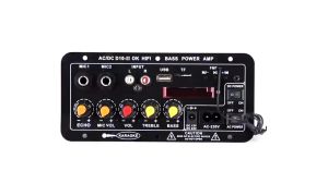 Amplifiers Untuk 8-12 Inci Speaker AC 220V 12V 24V Penguat Bluetooth Digital Penguat Suara Stereo