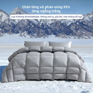 HLA | Chăn Bông Ngỗng Ấm và Dày
