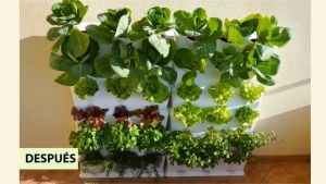 [HCM]1m2 Khung Trồng Rau Sạch Đứng Ban Công Chung Cư Minigarden Vertical Phong Cách Châu Âu (gồm 8 module và 1 khay hứng nước) Không Kèm Hệ Thống Tưới Nhỏ Giọt và năng suất rau sạch đạt gấp 3 lần bình thường