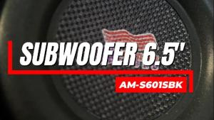 ดอกซับเบส 6.5 นิ้ว ซับวูฟเฟอร์ ลำโพงซับ ดอกซับ ซับ 6.5 นิ้ว เหล็กปั๊ม วอยซ์เดี่ยว แม่เหล็ก 100mm. หนา20mm. American Sound AM-S601SBK เครื่องเสียงติดรถยนต์ AudioAdvance