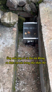 Bẫy chuột Lồng bắt chuột Máy bắt chuột tự động chất liệu thép. Bảo hành 3 tháng