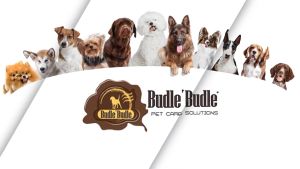 Sữa Tắm Cho Chó Viêm Da Budle Thảo Dược Povidone Iodine 300ml