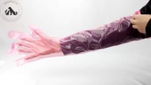 Găng Tay Nilong Gieo Tinh Nhân Tạo Cho Bò - Đức