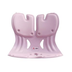 Ergonomic Lumbar Support Office Chair Cushion