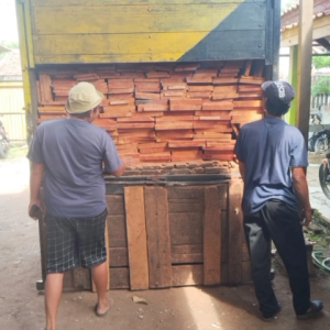 Papan Kayu Mahoni Serut Halus Ukuran 2 x 20 x 200 cm