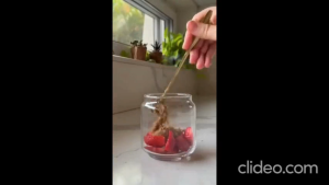 PISTACHIO KUNAFA JAR 300G