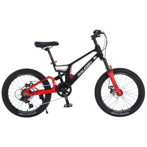Raleigh | Magnesium Alloy Speed Change Mountain Kids Bike