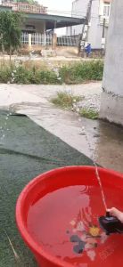 Máy bơm mini 6-24VDC 1-20W JT-580