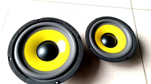 Loa bass 12 sony lòng vàng  toàn vành 13cm  nhập khẩu -giá 1 chiếc