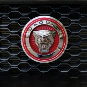 Jaguar F-PACE XEL XFL 3D Logo Decorative Frame Protection Ring Headlight Grill Decoration Suitable for Car Modification