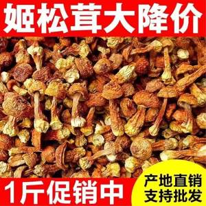 Special Selected Wild Mushroom 500g