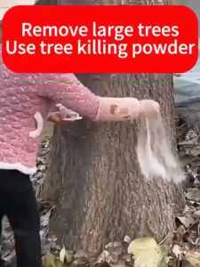 500g Tree Killer Chemical: A Quick & Effective Solution