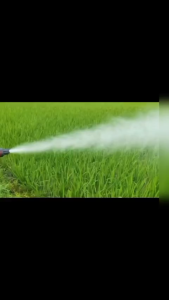 Máy xịt thuốc đeo vai kèm chức năng thổi lá chạy xăng giá rẻ