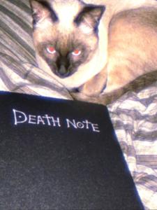 Death Note iPad Tablet Protective Case Applicable Ipadair10.9 Protective Case 2023 Protective Case 12.9 Ultra-Thin 10 .5 9 Th Generation Pro