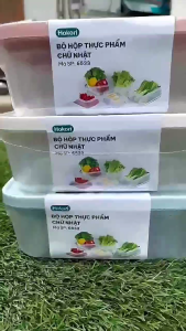 BỘ 3 Hộp Đựng Thực Phẩm HOKORI Nắp Dẻo Nhựa PP Việt Nhật An Toàn Lò Vi Sóng