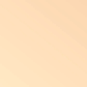 NOVO Liquid Foundation & Concealer Waterproof Oil Control Long Lasting